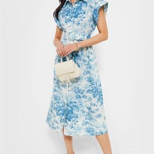 Medium Tuckernuck Misty Blue Toile Chloe Dress